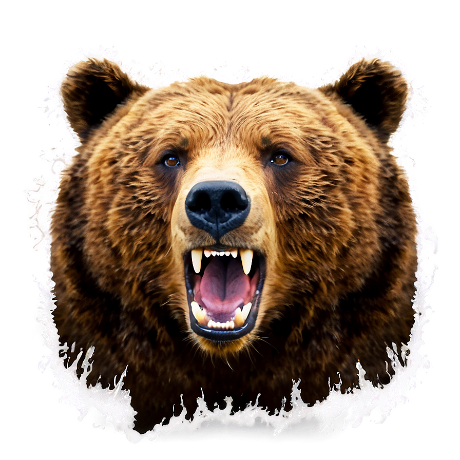 Bear Roaring Png 76