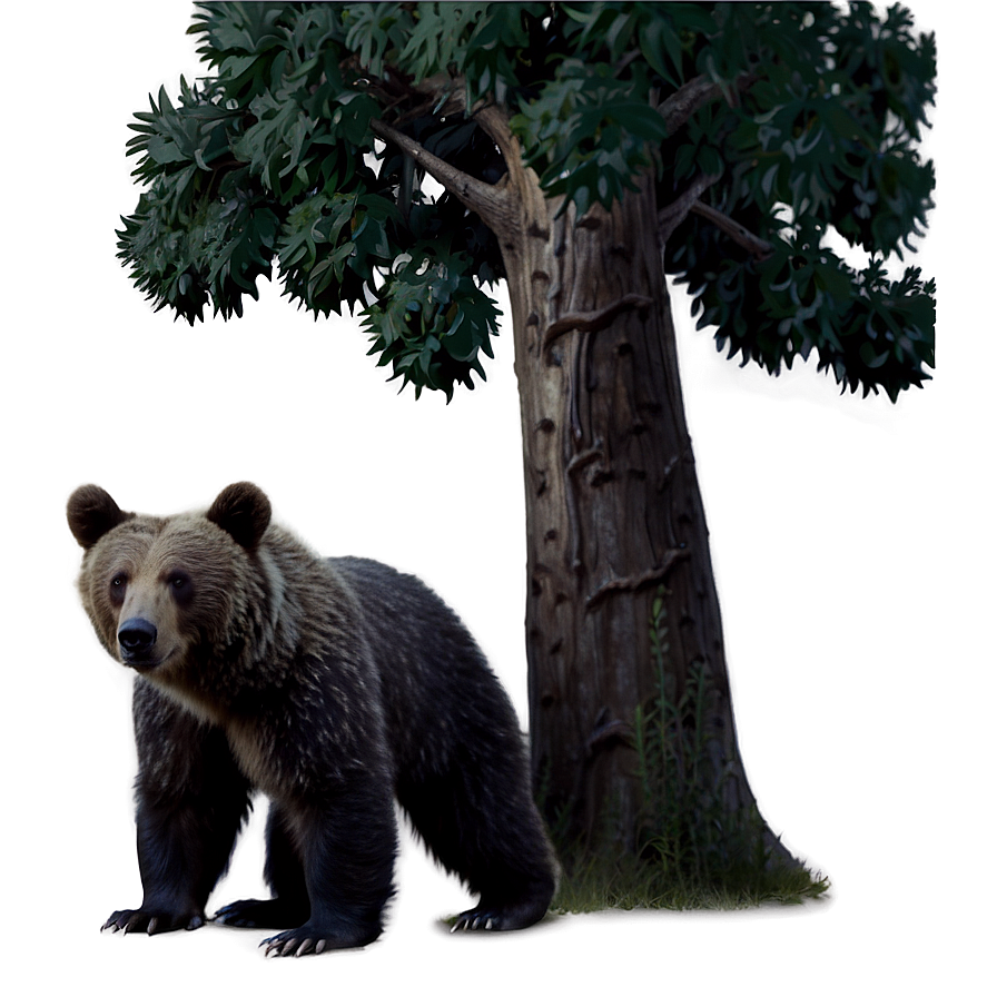 Bear Under Tree Png 05032024