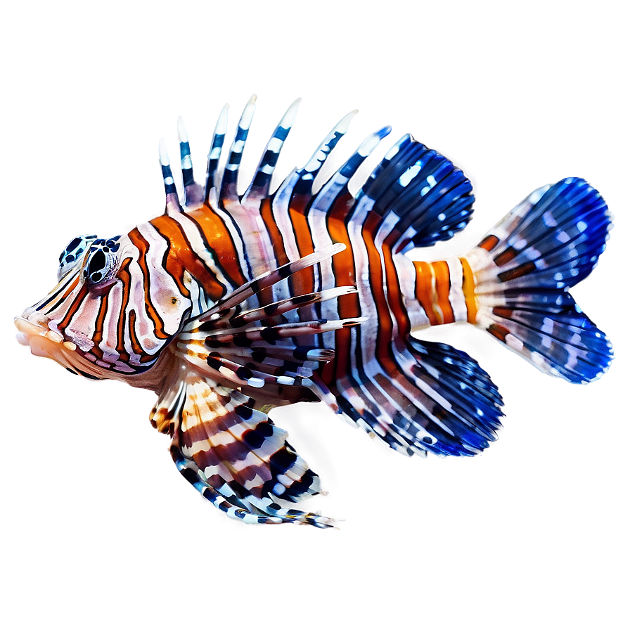 Beautiful Lionfish Png 2