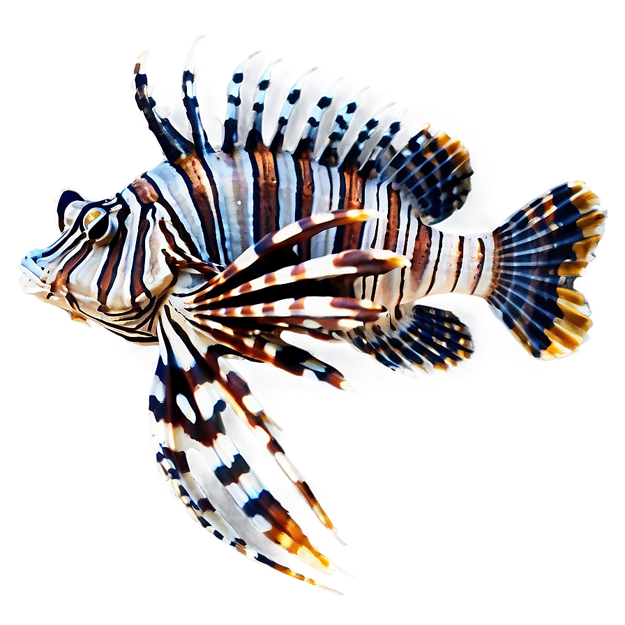 Beautiful Lionfish Png Ayp95