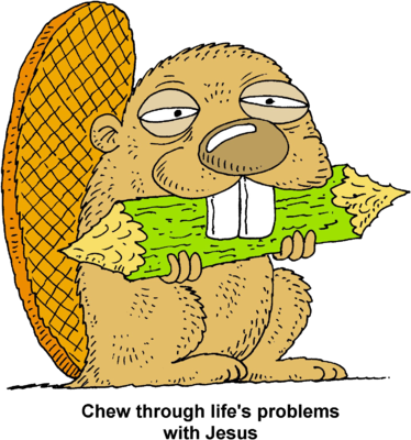 Beaver Chewing Log Cartoon