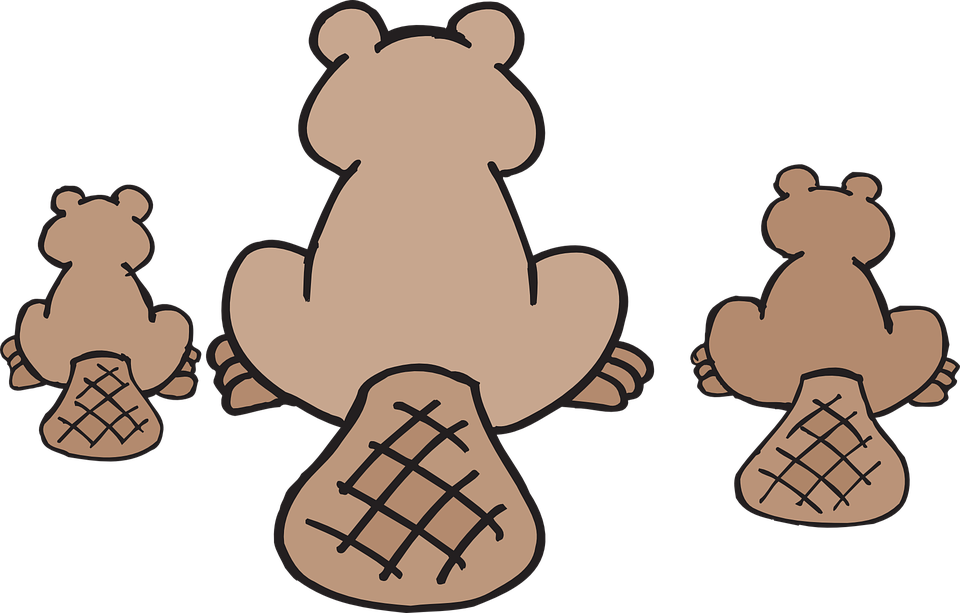 Happy Family Clipart 24, Buy Clip Art - Canadian Beaver Throw Blanket PNG with transparent background