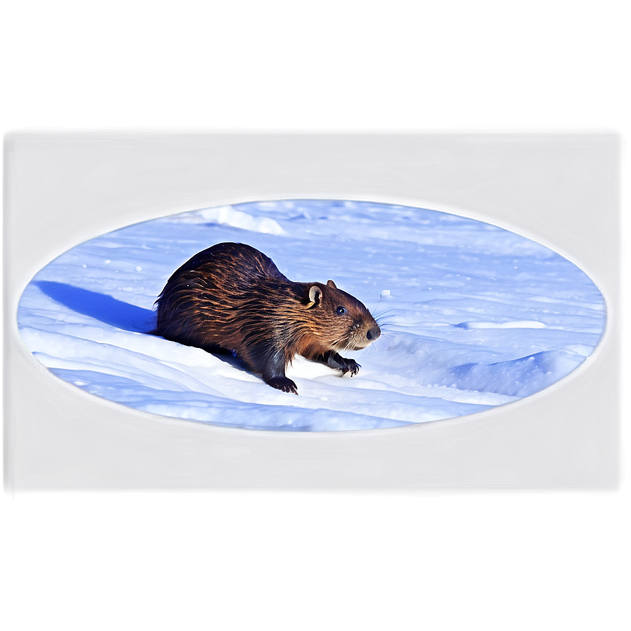 Beaver In Snowy Landscape Png 82