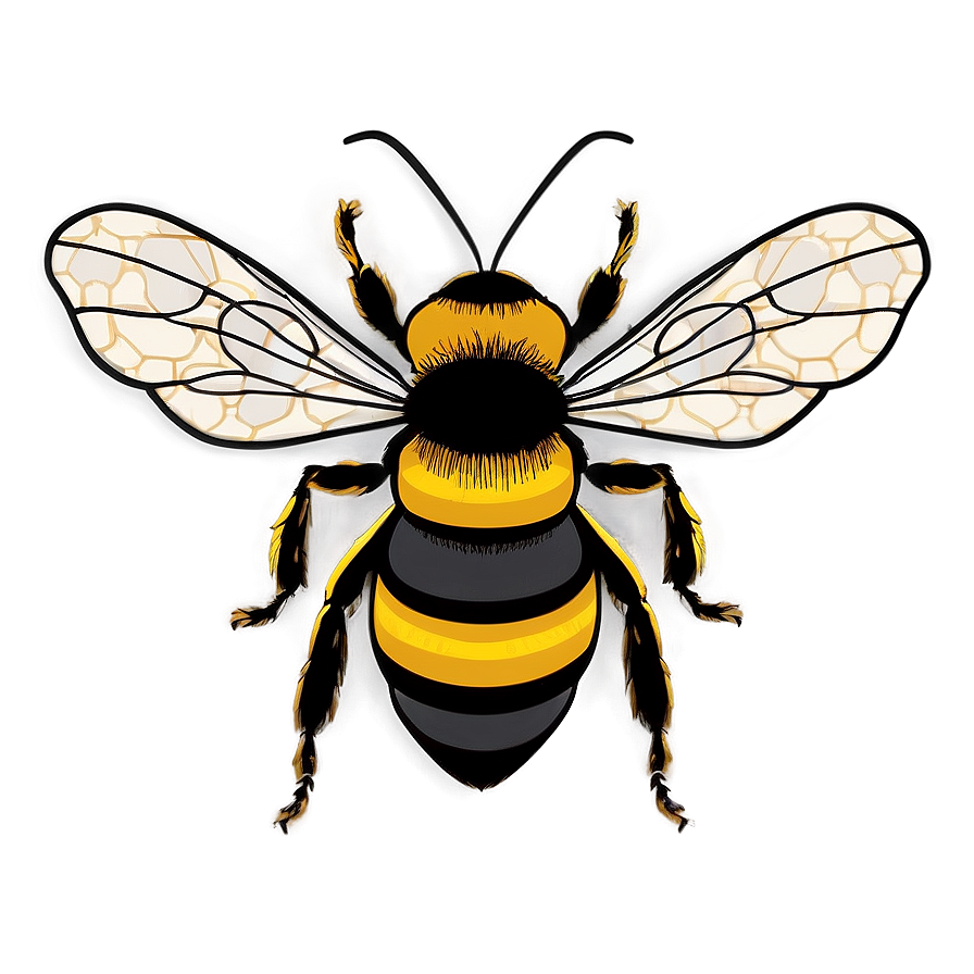 Bee Drawing Png 32