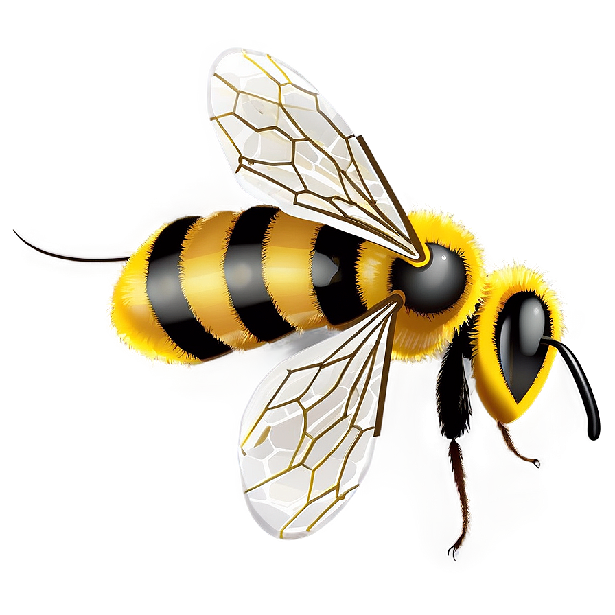 Bee Illustration Png 05232024