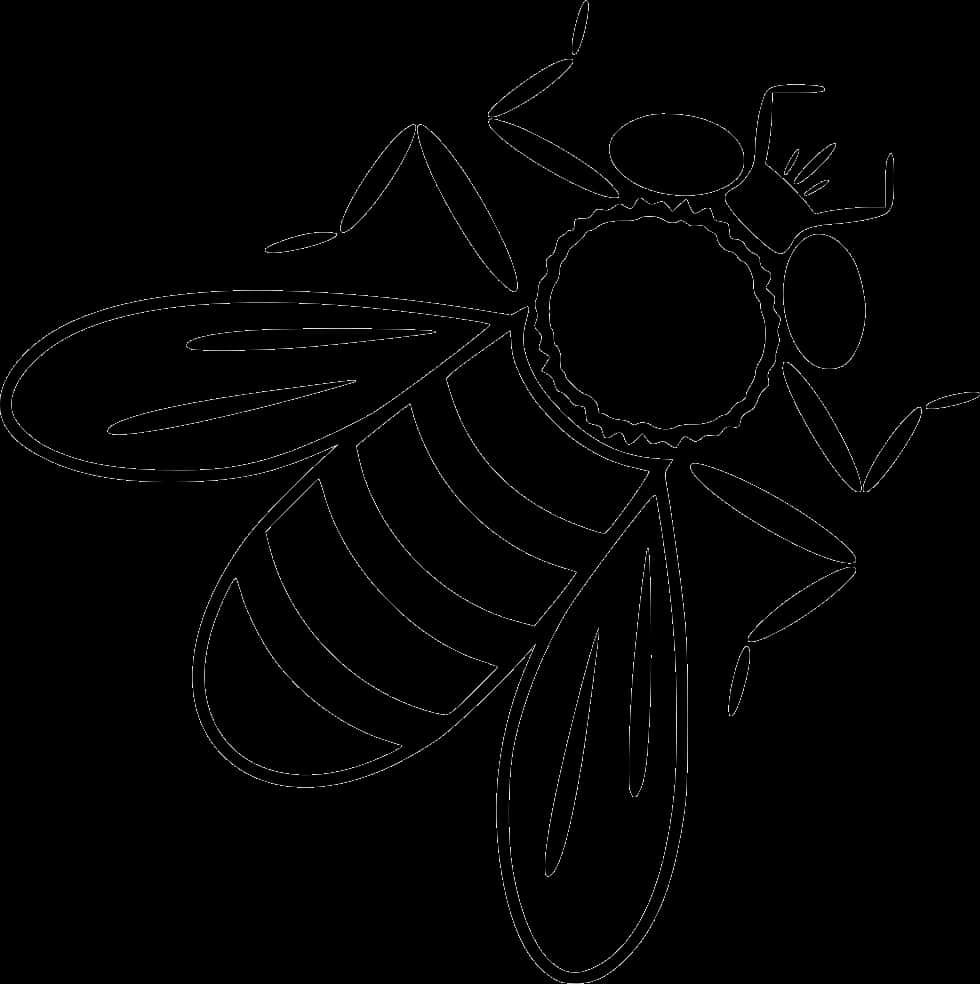 Bee, HD Png Download PNG with transparent background
