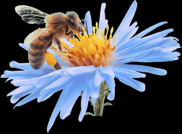 Bee Pollinating Blue Flower