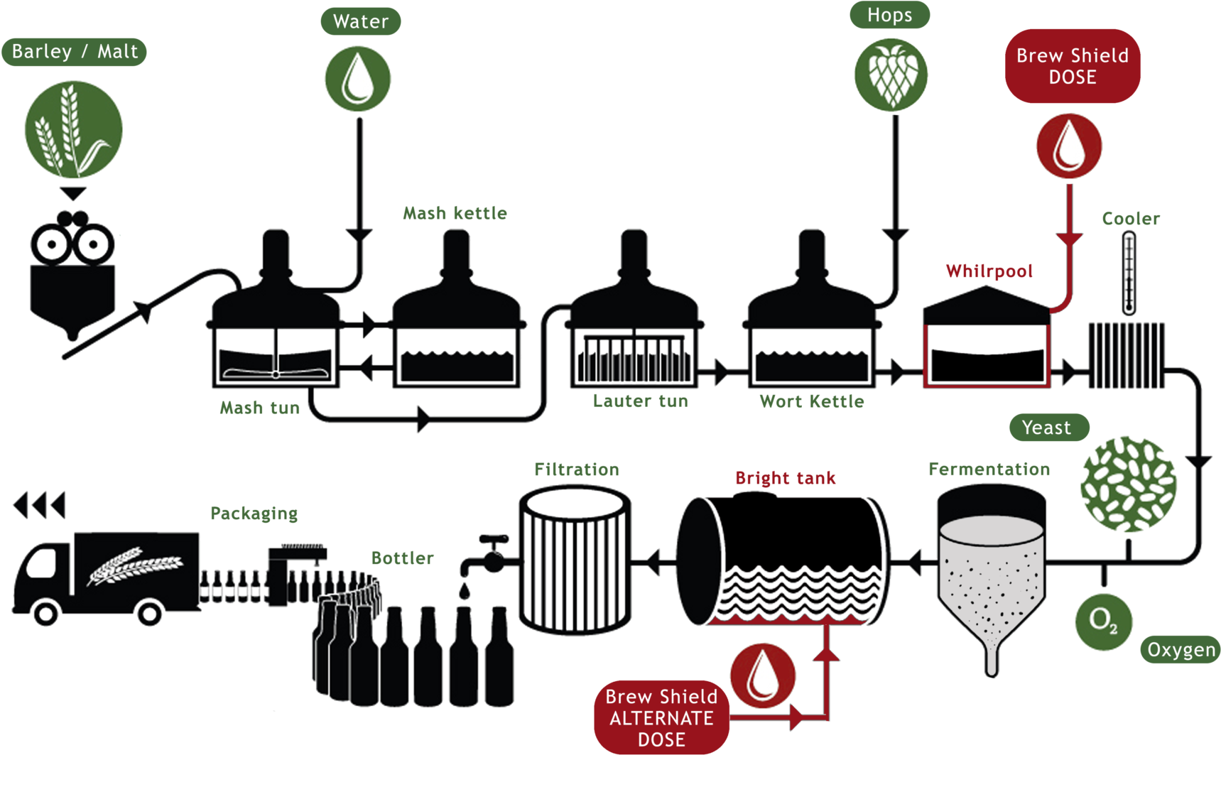 Beer Brewing Process Flowchart