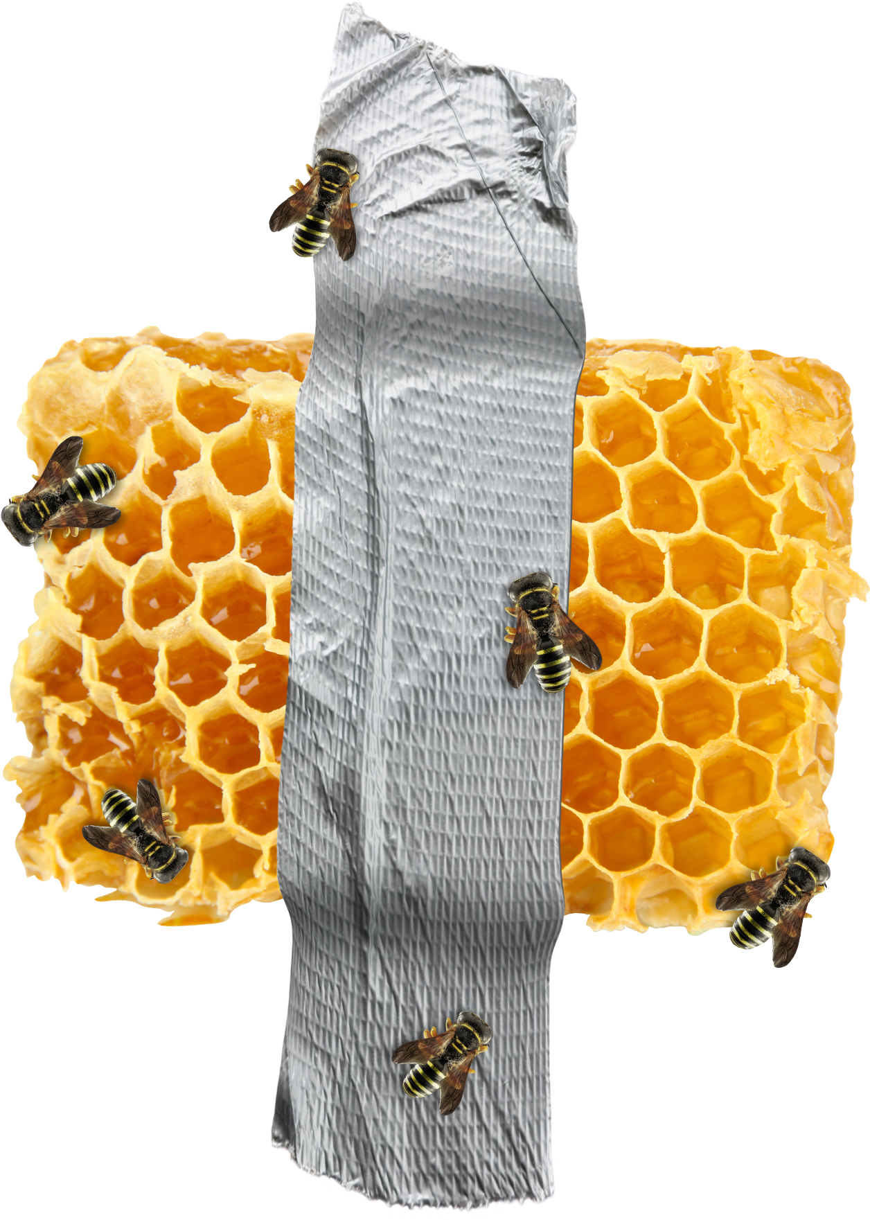 Transparent Honeycomb Clipart Black And White - Fondos Paul Frank, HD Png Download PNG with transparent background
