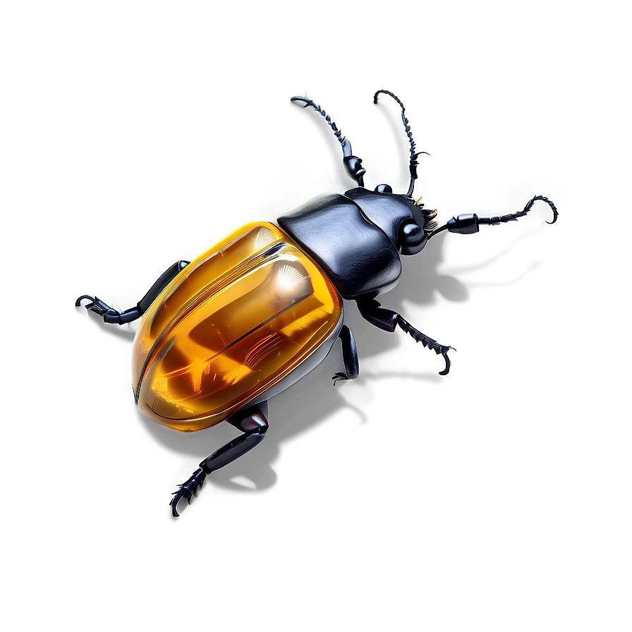 Beetle In Amber Png Qwf16