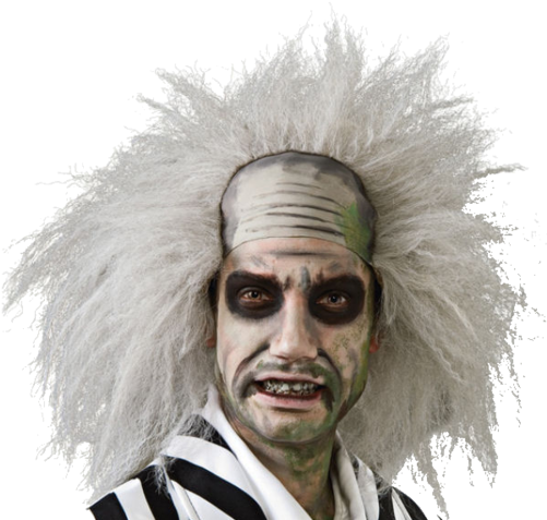 Beetlejuice Wig - Beetlejuice Costume PNG with transparent background