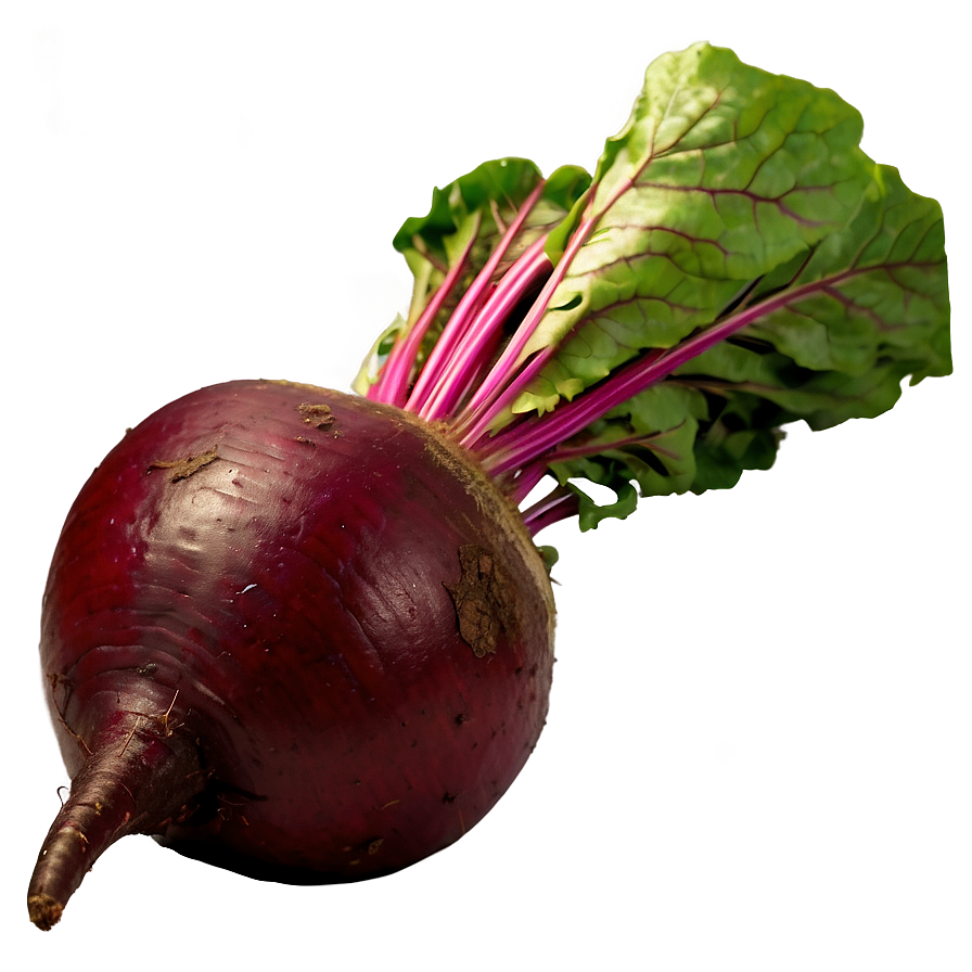 Beetroot PNG qqk PNG with transparent background