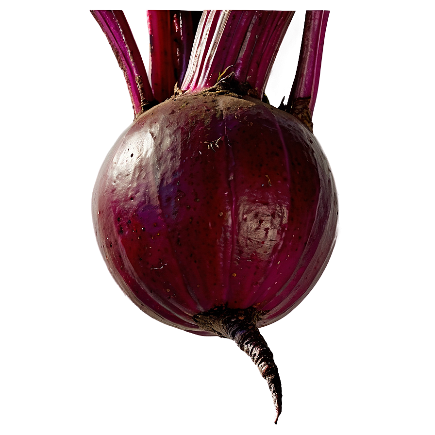 Beetroot PNG smt20 PNG with transparent background