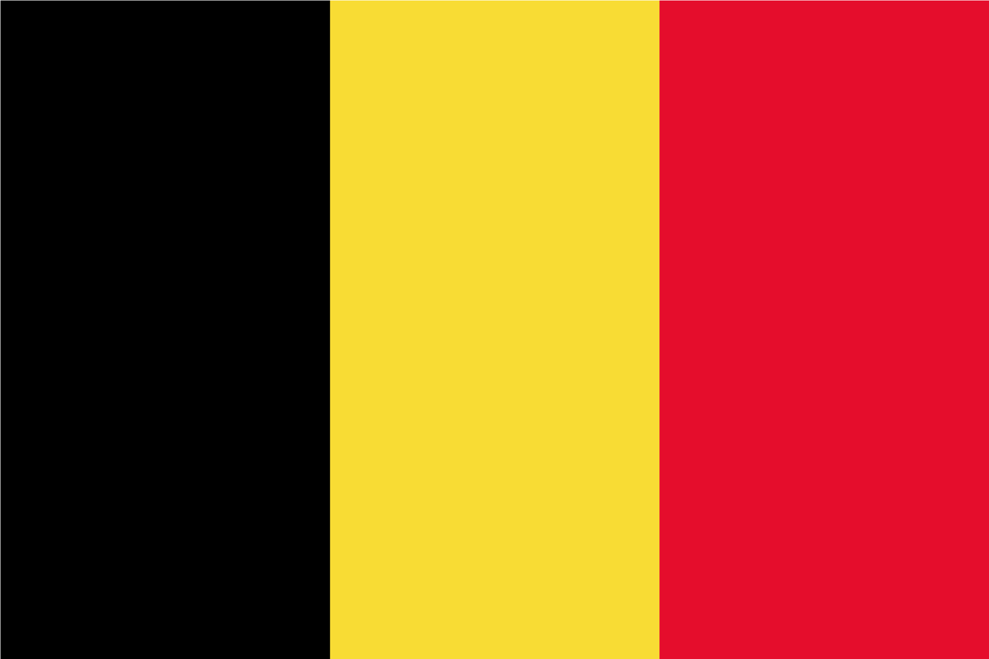 Belgian Flag Vertical Tricolor