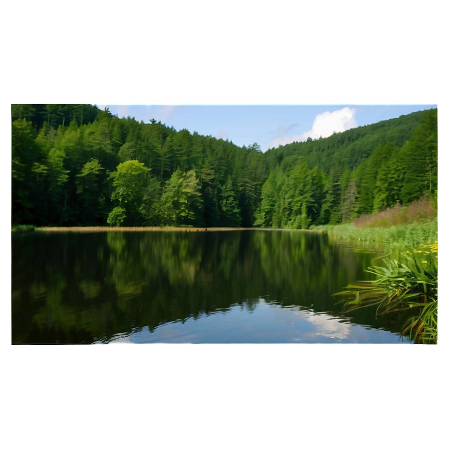 Belgium Ardennes Forest Png 06242024