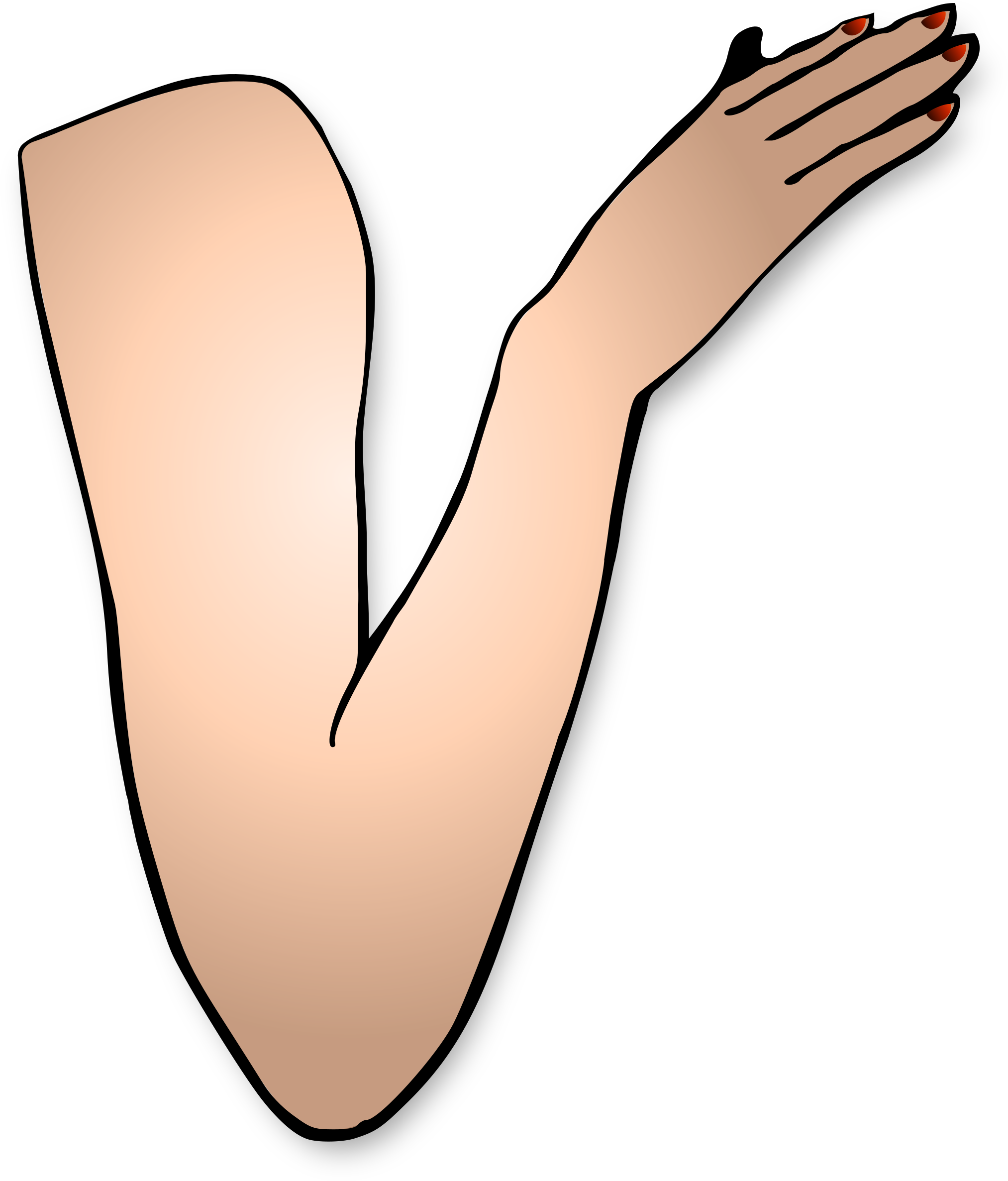 Flexing Arm Png - Girl Arm Clipart, Transparent Png PNG image with a transparent background, free high-resolution download