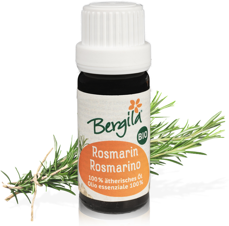 Different Types Of Rosemary Plants, HD Png Download PNG with transparent background
