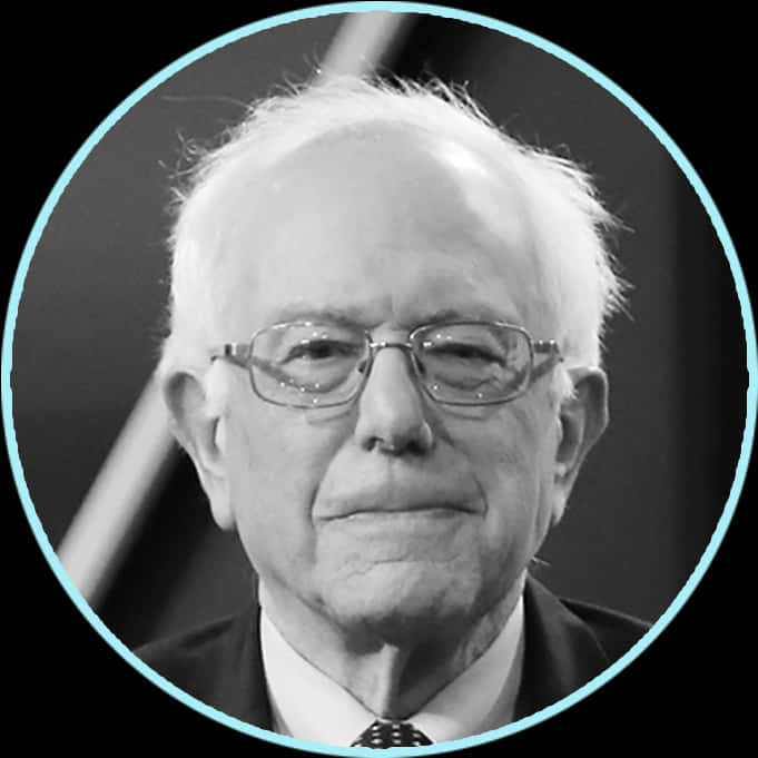 Bernie Sanders Blackand White Portrait