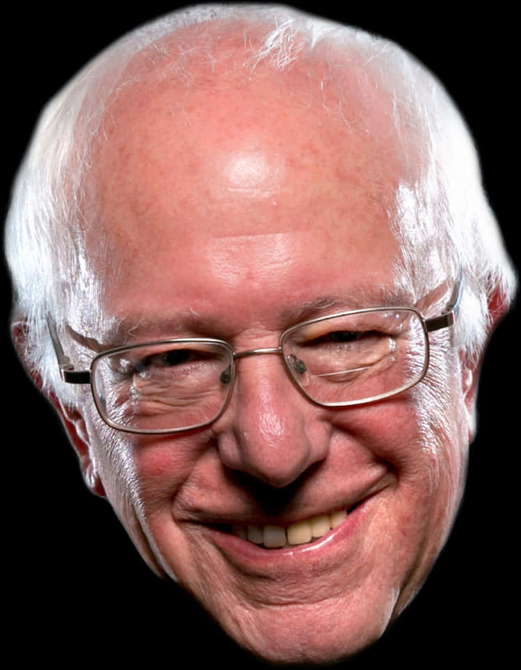 Bernie Sanders Smiling Portrait