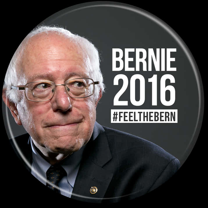 Bernie Sanders2016 Campaign Button