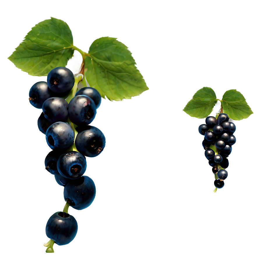 Berries On Vine Png Eld55