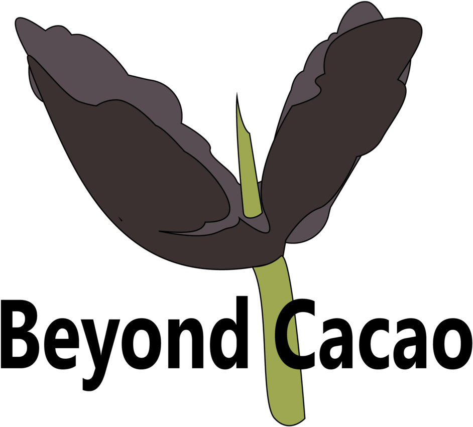 Beyond Cacao Logo