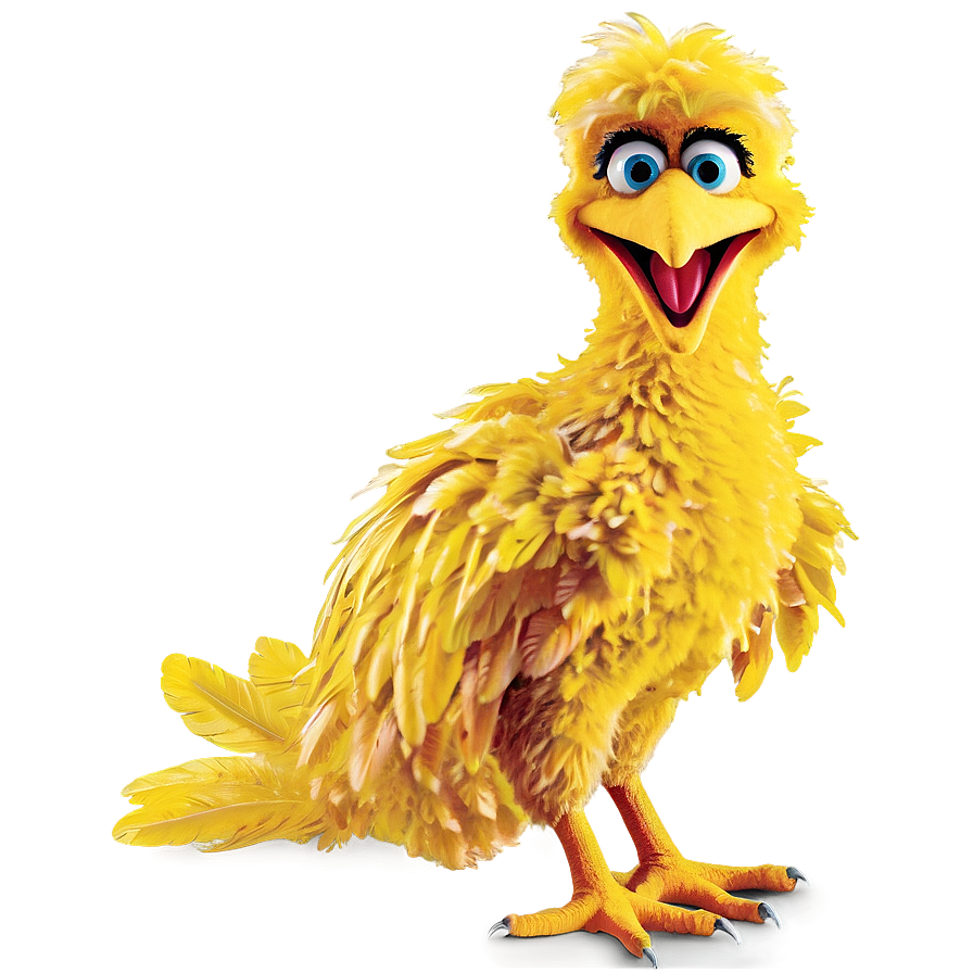 Big Bird Png Nvr