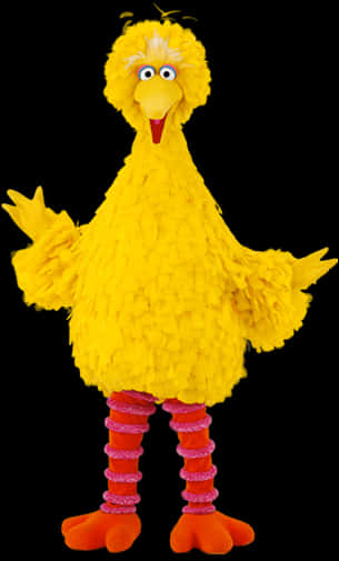 Big Bird Sesame Street Character