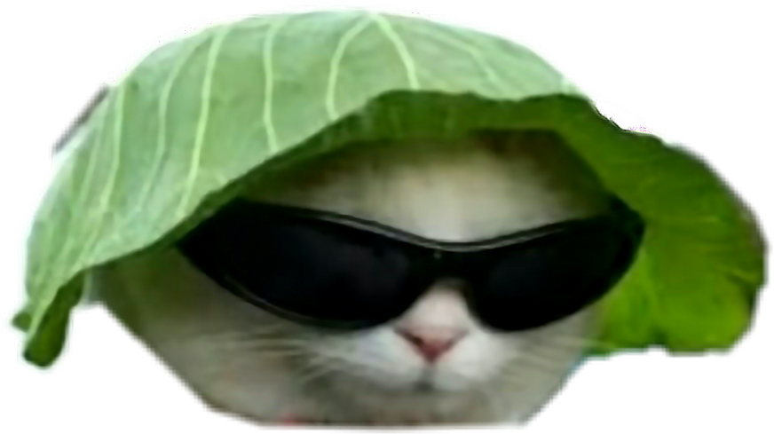 Big Gay Memes Dankmemes Dankmeme Idubbbz Fuckyou - Cat With Sunglasses And Hat, HD Png Download PNG with transparent background