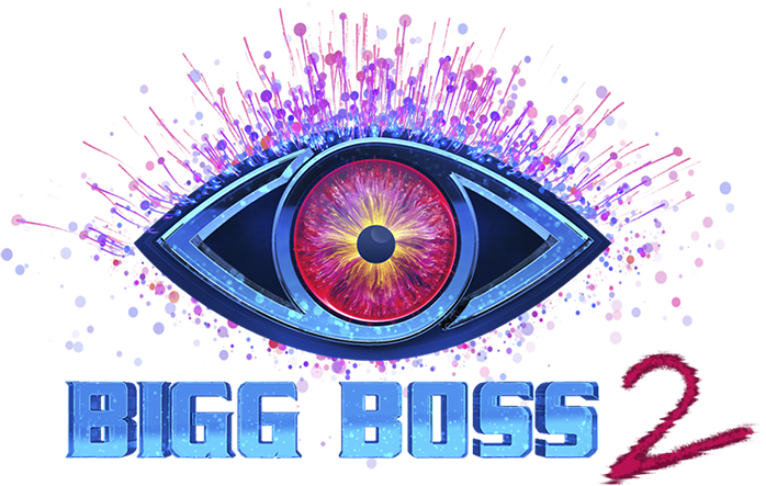 Term & Conditions - Bigg Boss Telugu 2 Png, Transparent Png PNG with transparent background