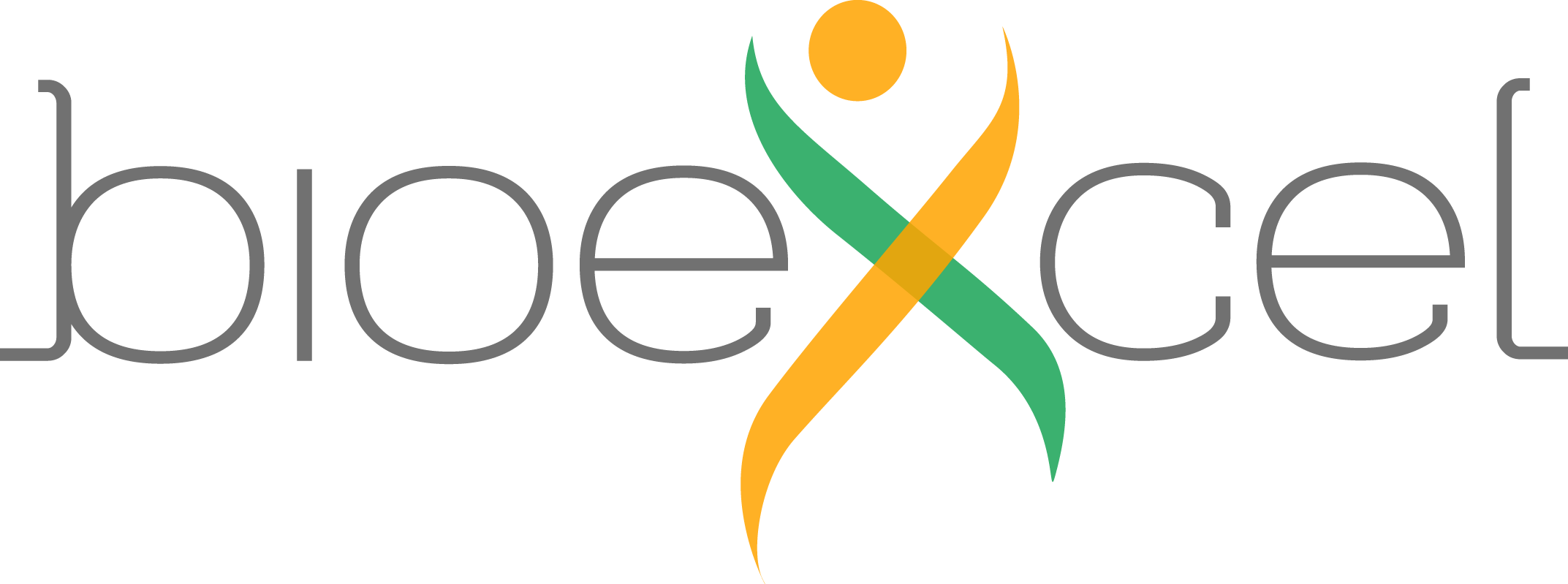 Bio Excel Logo Design