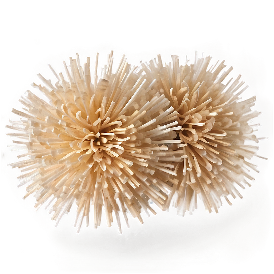 Biodegradable Pom Poms Png 68