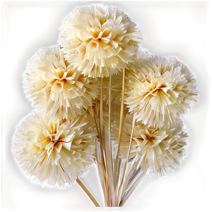 Biodegradable Pom Poms Png Ale