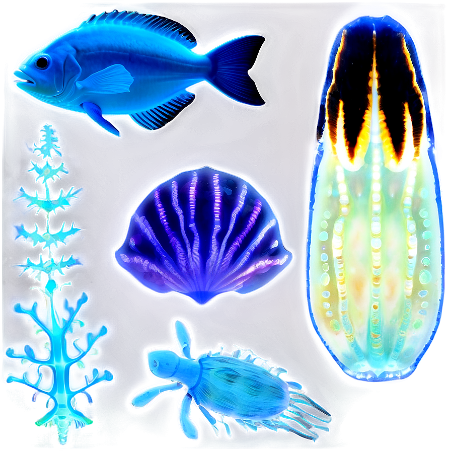 Bioluminescence In Marine Life Png Dua