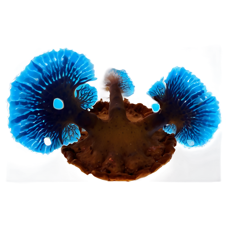 Bioluminescent Fungus Png Aon7