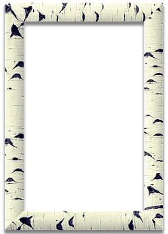 Birch Frame Black Center PNG with transparent background