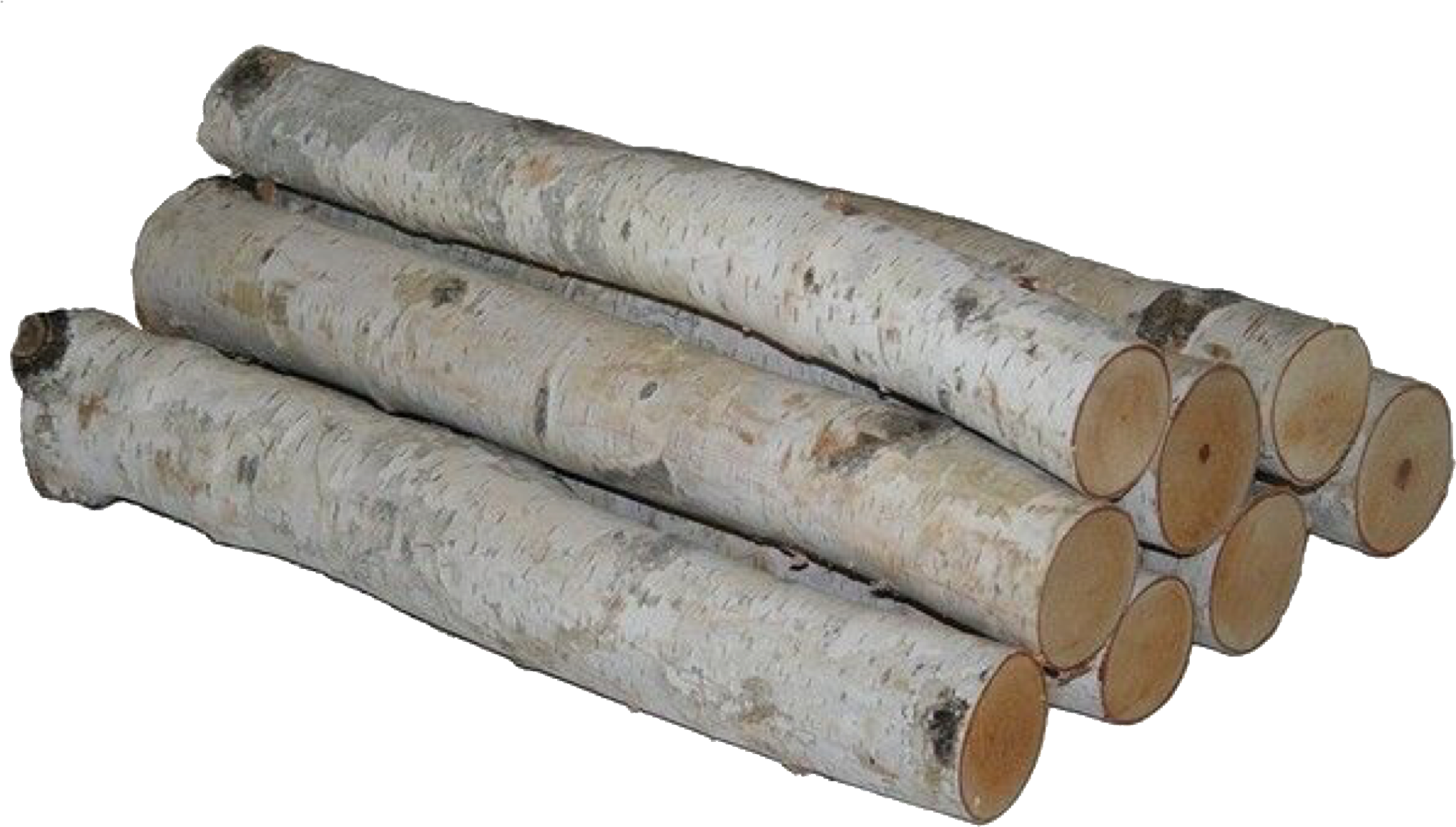 Birch Logs Isolated Background PNG with transparent background
