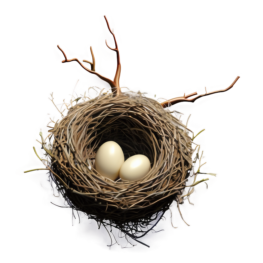 Bird Nest in Tree PNG kmw93 PNG image with a transparent background, free high-resolution download