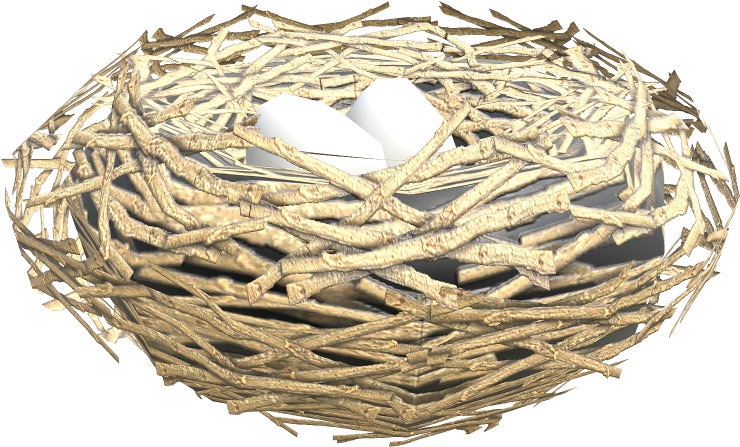 Download Zip Archive - Nest, HD Png Download PNG image with a transparent background, free high-resolution download