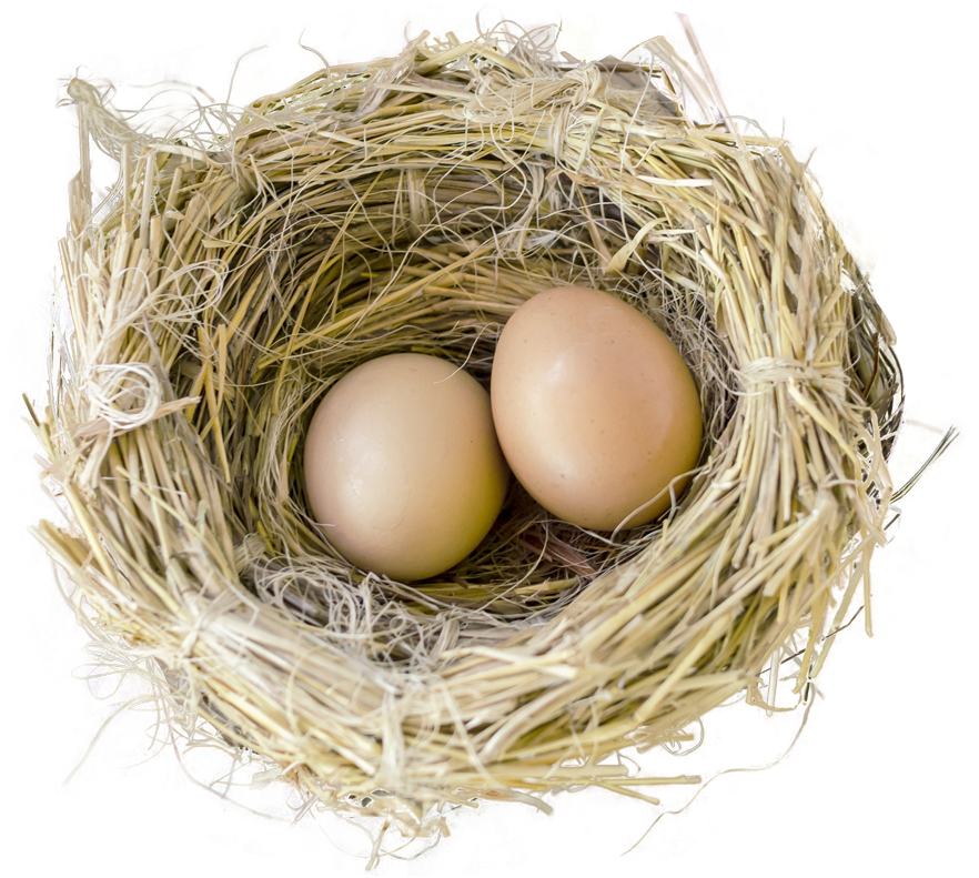 Bird Nest Png Image - Nest Transparent Background, Png Download PNG with transparent background
