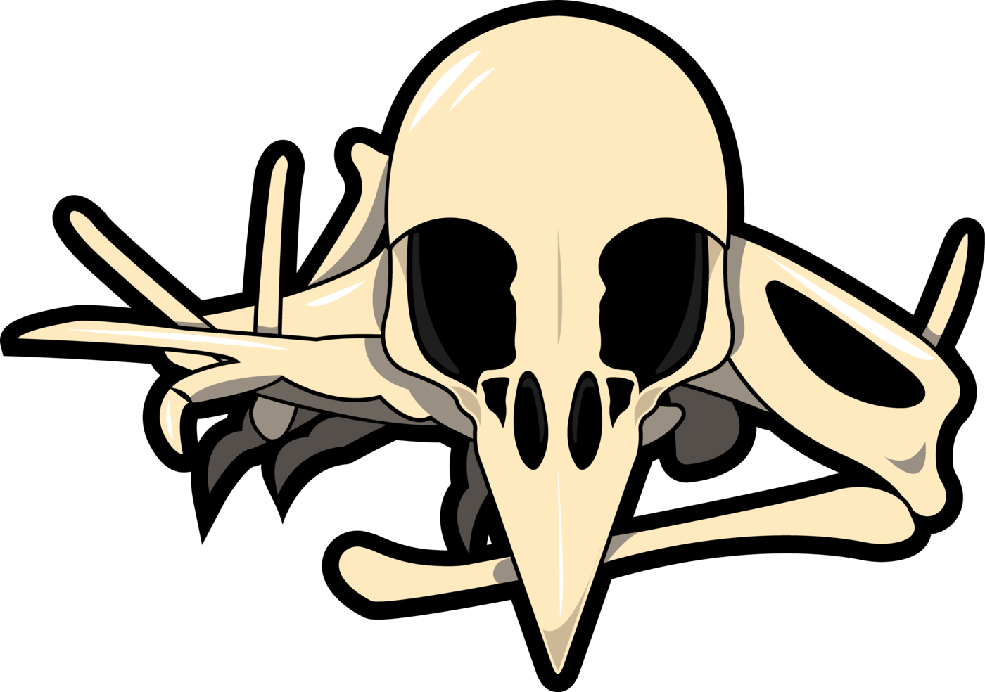 Bird Skull Illustration PNG with transparent background