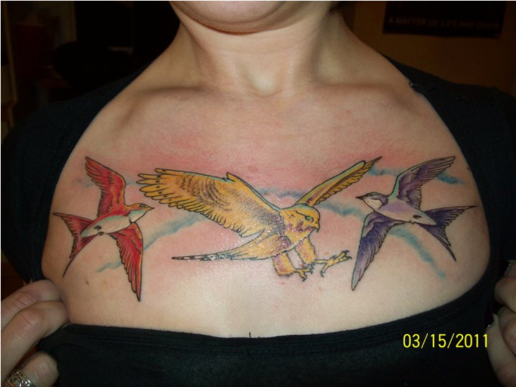 Bird Tattoo Chest Piece2011