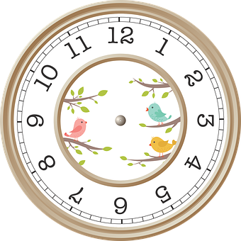 Bird Themed Wall Clock PNG with transparent background