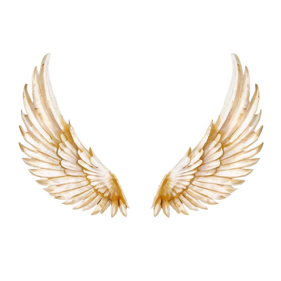 Bird Wings PNG 05032024 PNG with transparent background