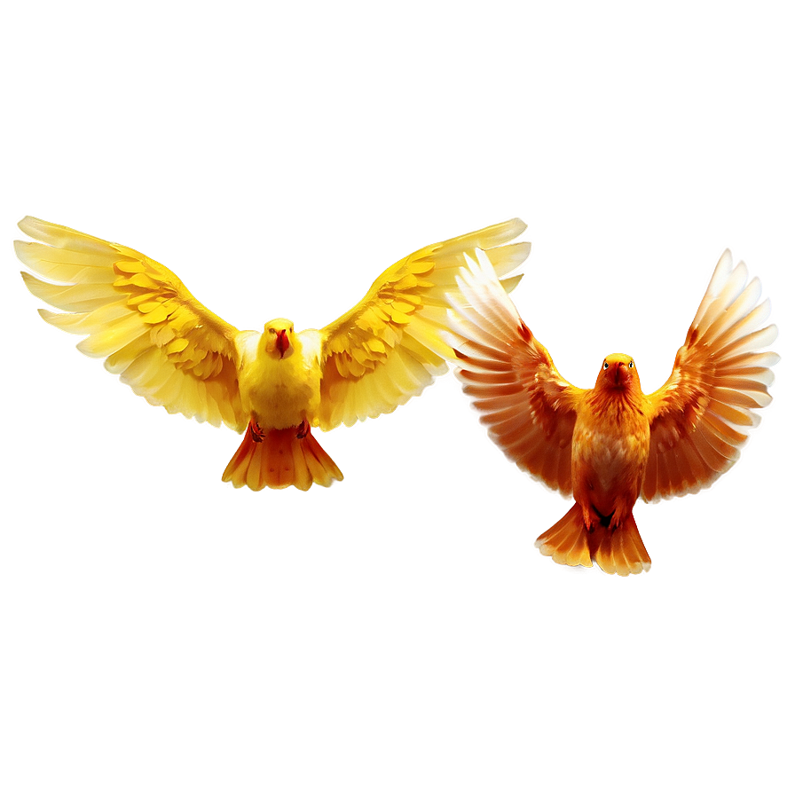 Bird Wings PNG nlc PNG with transparent background