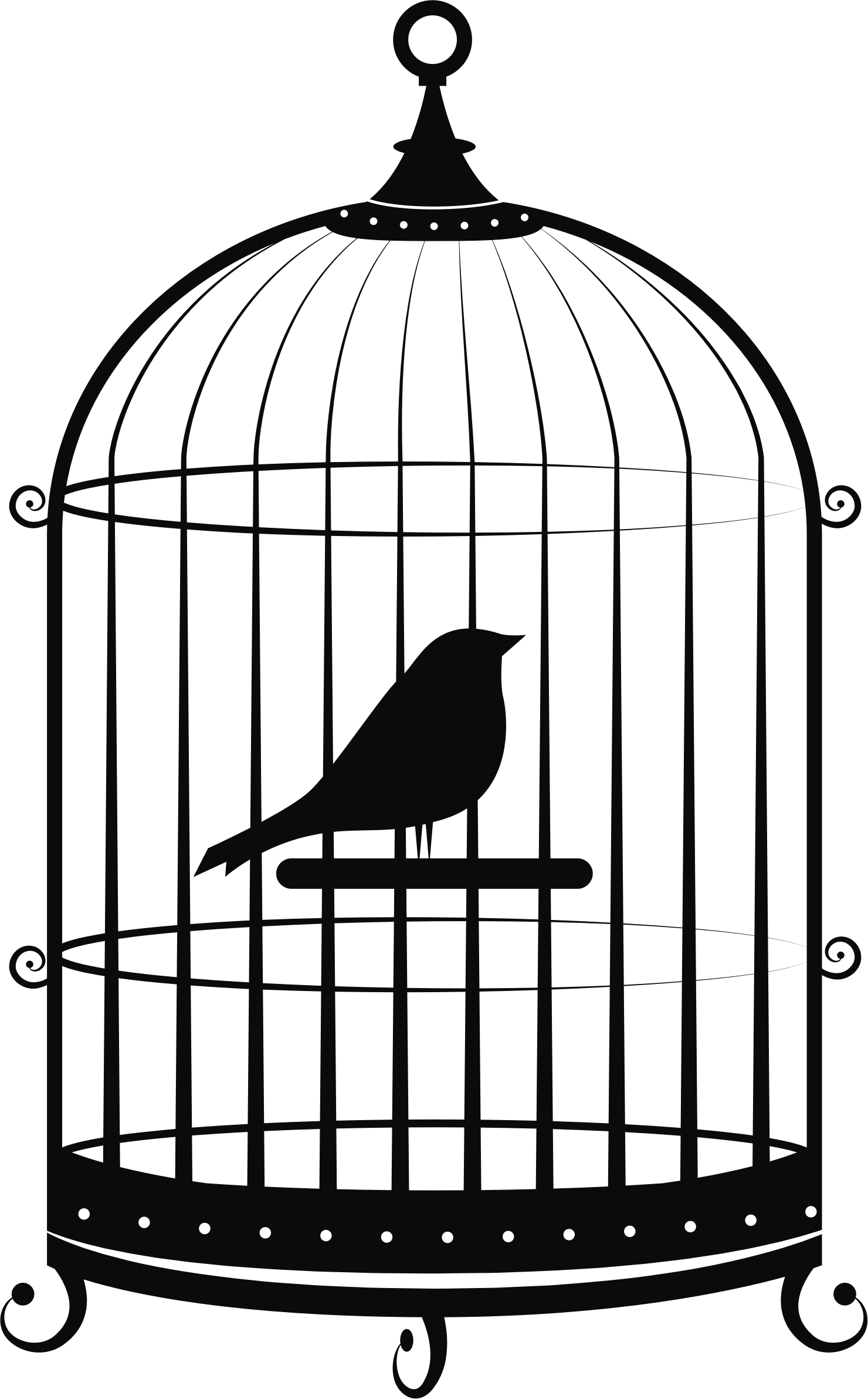 Birdcage Parrot Clip Art - Bird In Cage Clipart, HD Png Download PNG with transparent background
