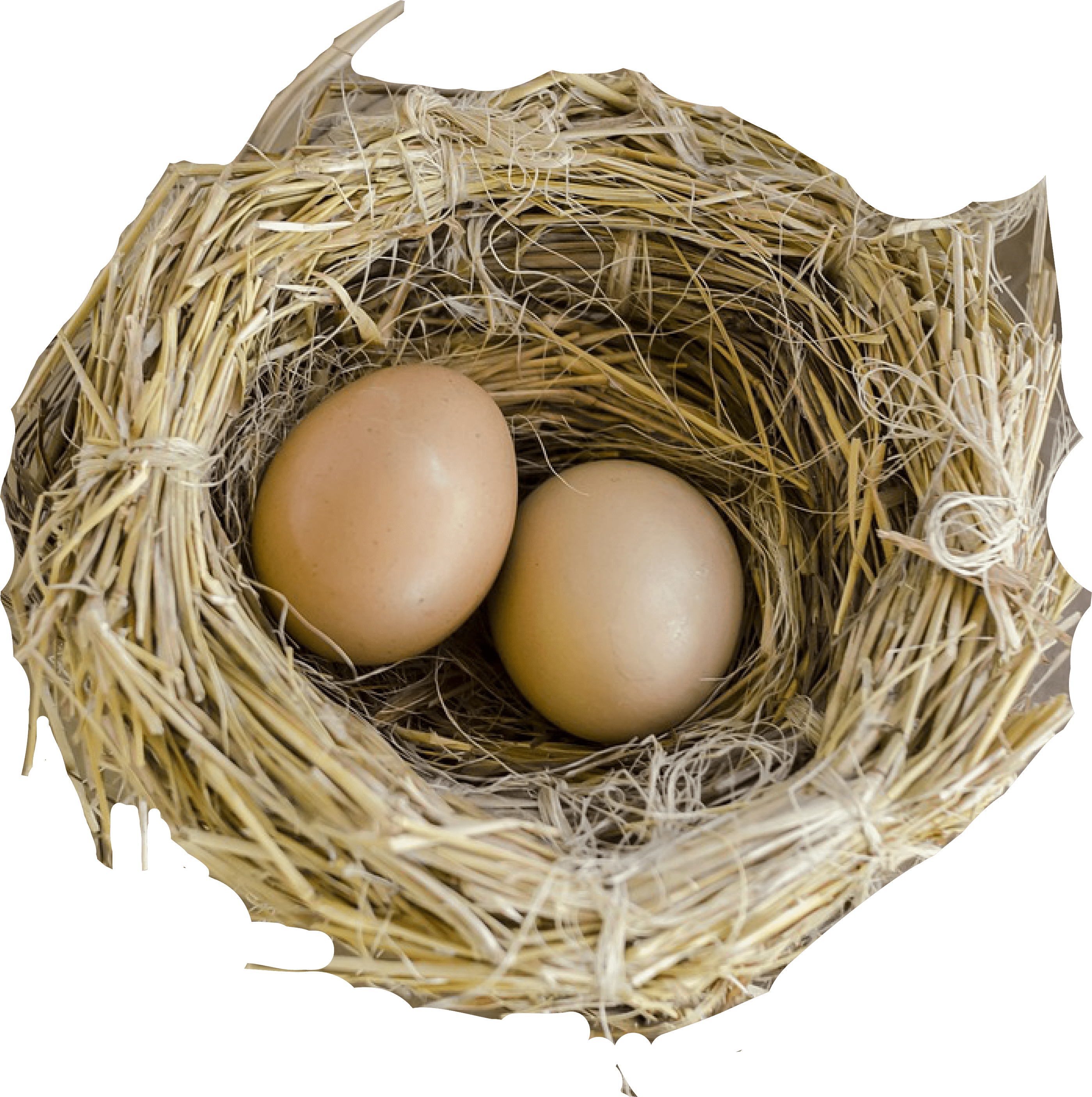 Nest Png - Bird Nest, Transparent Png PNG with transparent background