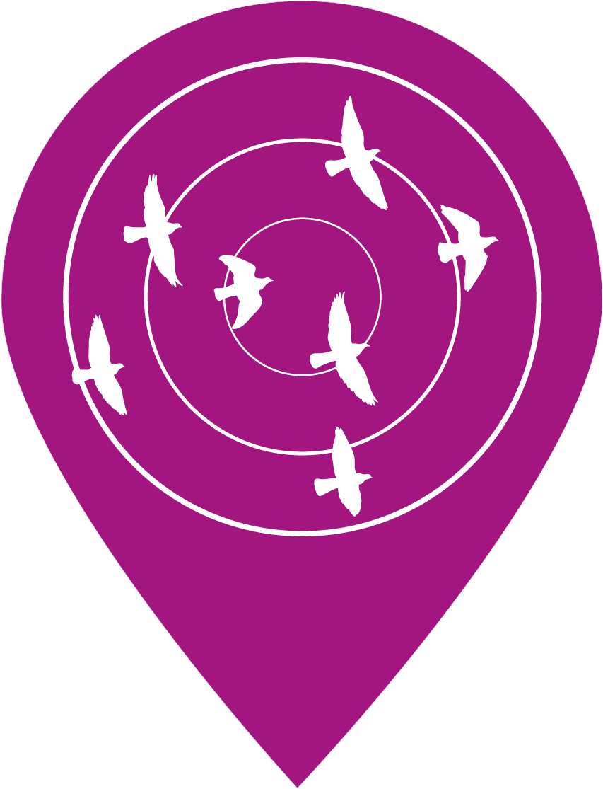 Birdsin Flight Navigation Icon PNG with transparent background