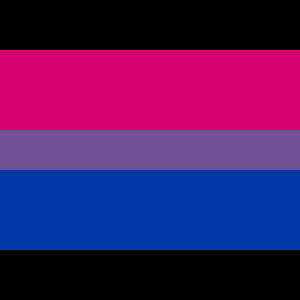 Bisexual Pride Flag Graphic PNG with transparent background