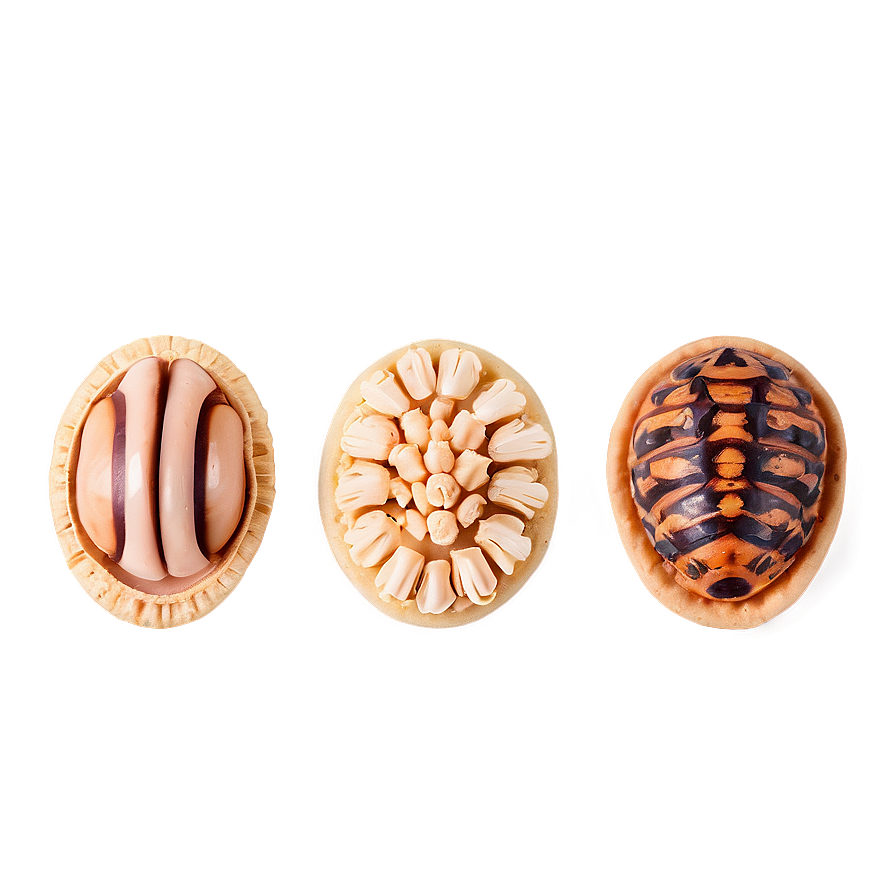 Bite-sized Concha Delicacies Png Kow